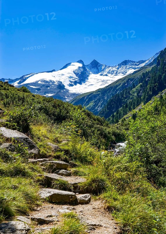Hiking trail with view to the Reichenspitze