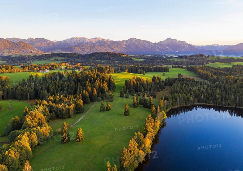 Schmutterweiher in the evening light