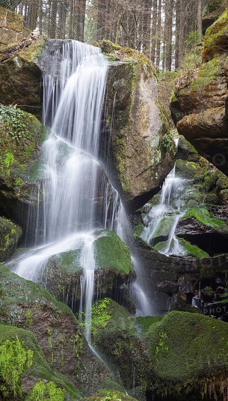 Lichtenhain waterfall in the Kirnitzschtal valley