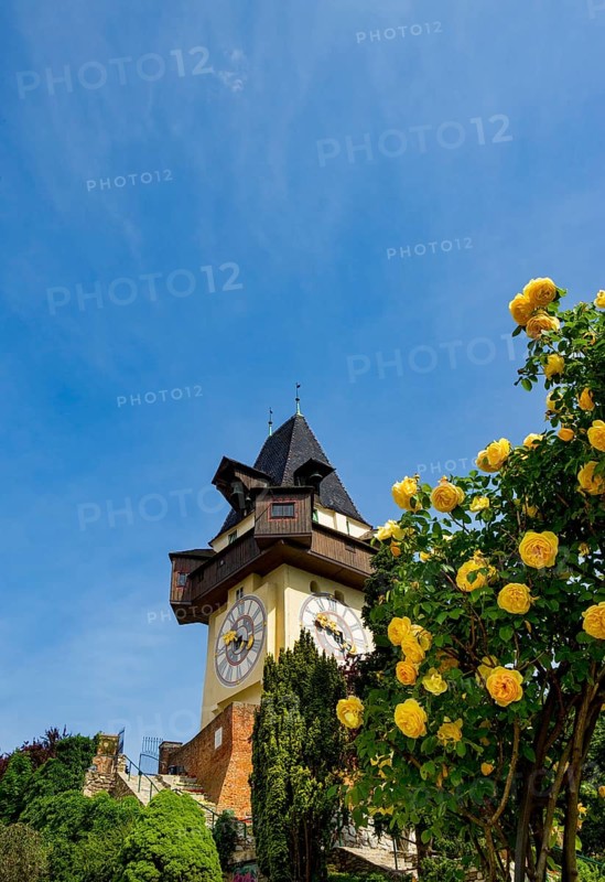 Rose garden on the Schlossberg with clock tower