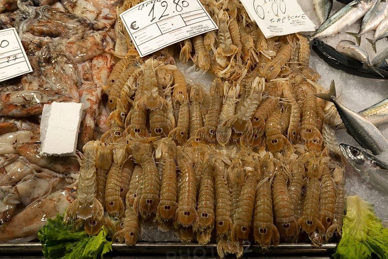 Fresh prawns (Penaeidae) on ice