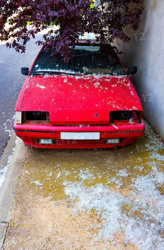 Citroen