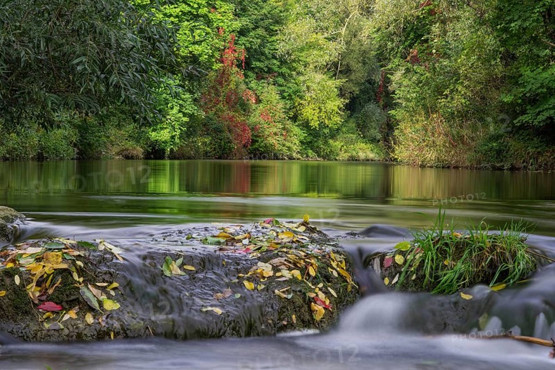 Falling step of a former weir at the Triesting