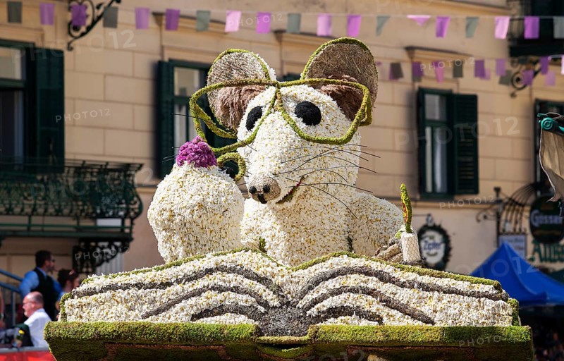 Narcissus Festival
