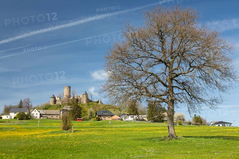 Nuerburg Castle