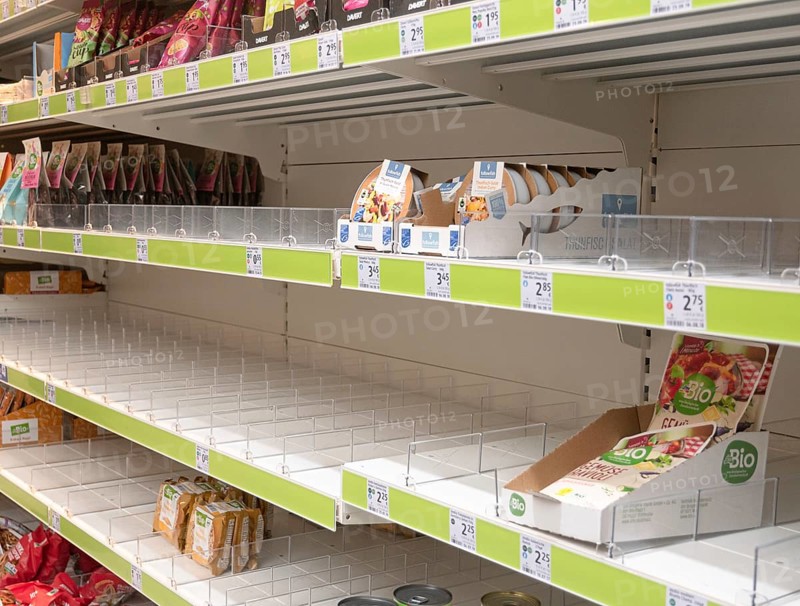 Hamster shopping