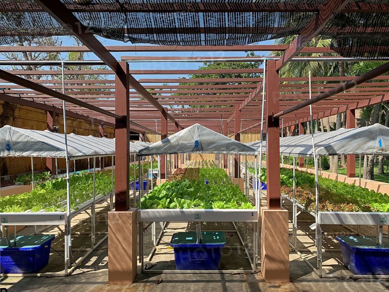 Hydrofarm at the Anantara Hotel for self-sufficiency