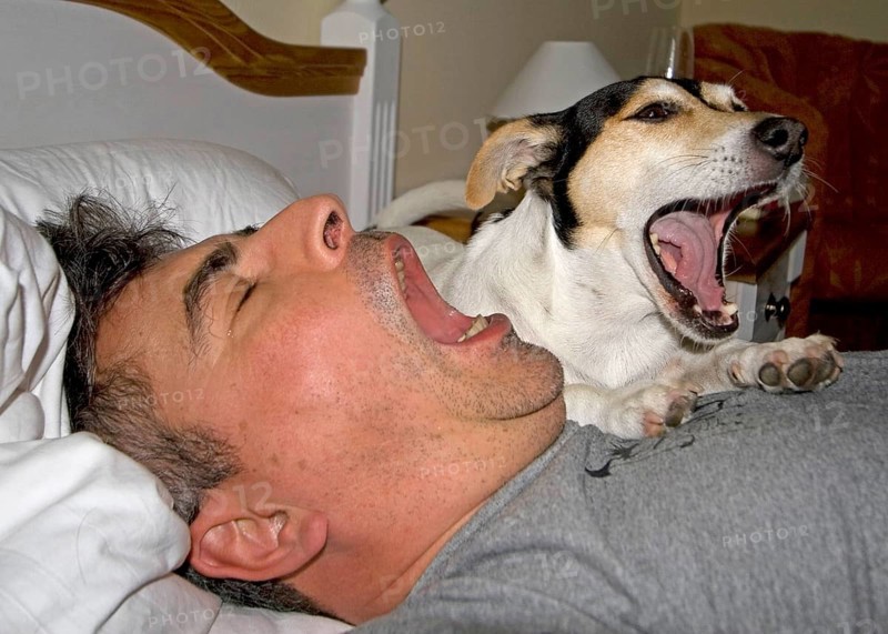 Dog and master yawn
