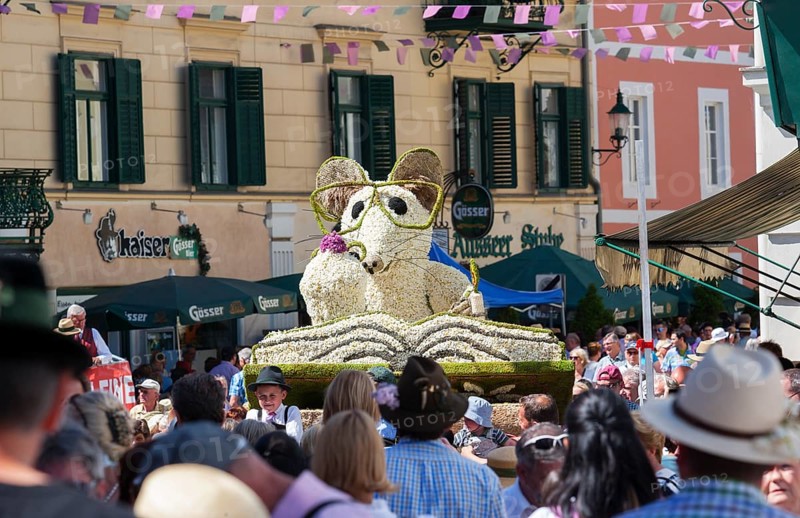 Narcissus Festival