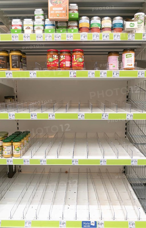 Hamster shopping