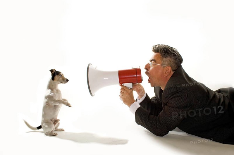 Jack Russell receives commands with the megaphone