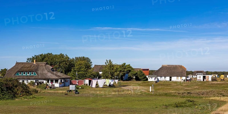 Residential houses