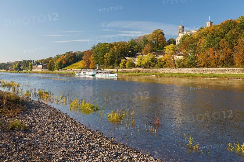 Autumn on the banks of the Elbe