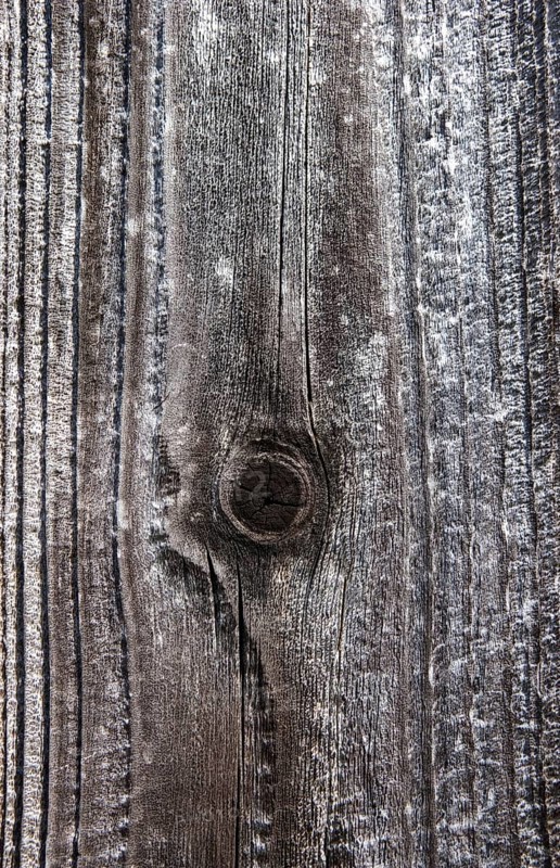 Weathered wood with knothole