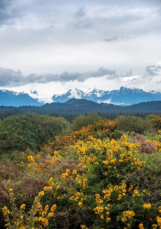 View of the New Zealand Alps