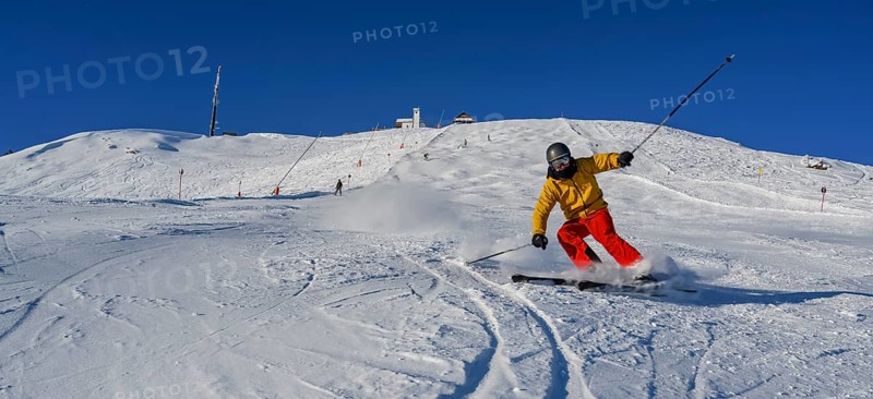 Skier