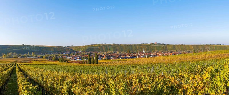 Nordheim am Main and behind Escherndorf