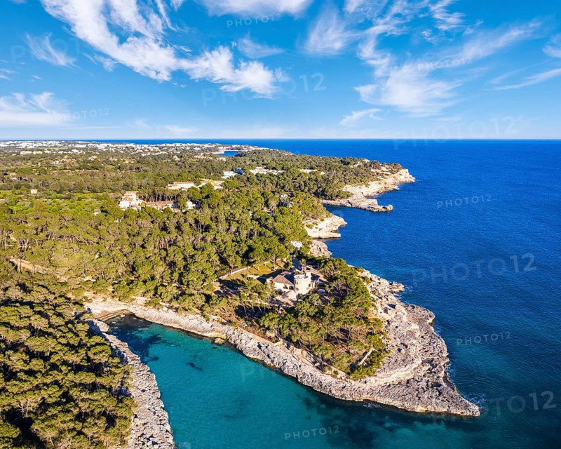Calo des Borgit