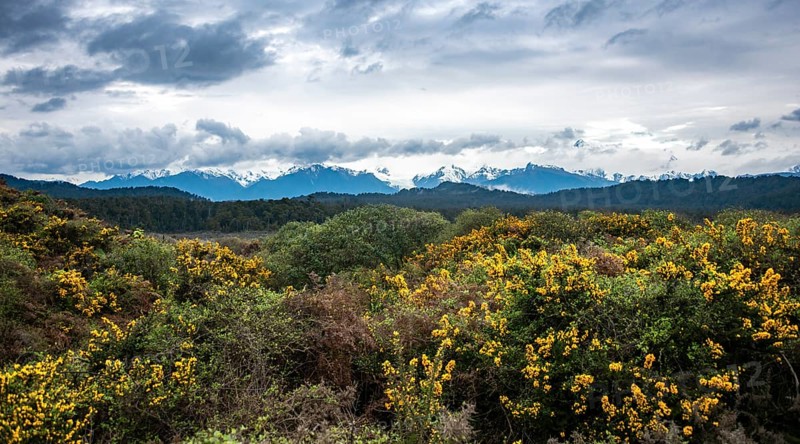 View of the New Zealand Alps