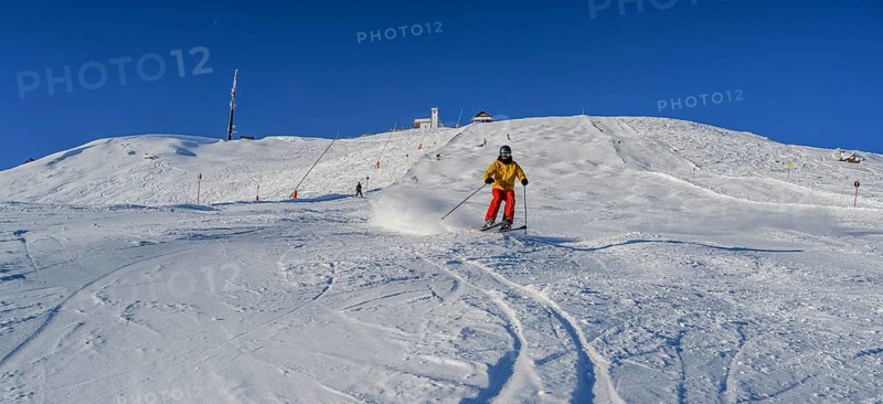 Skier