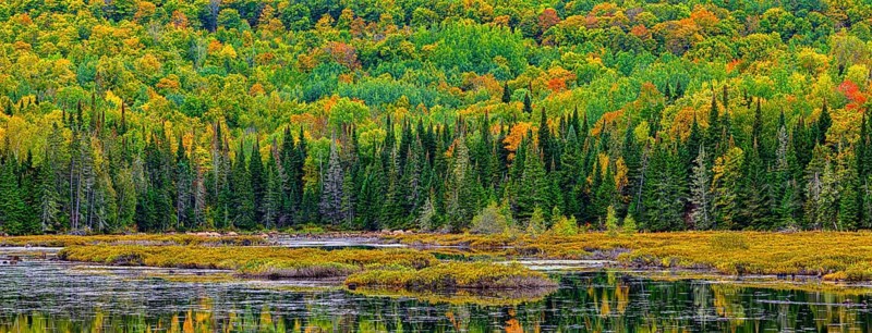 Autumn forest reflected in lake near La Minerve Laurentians Quebec Canada
