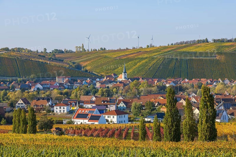 Nordheim am Main and behind Escherndorf