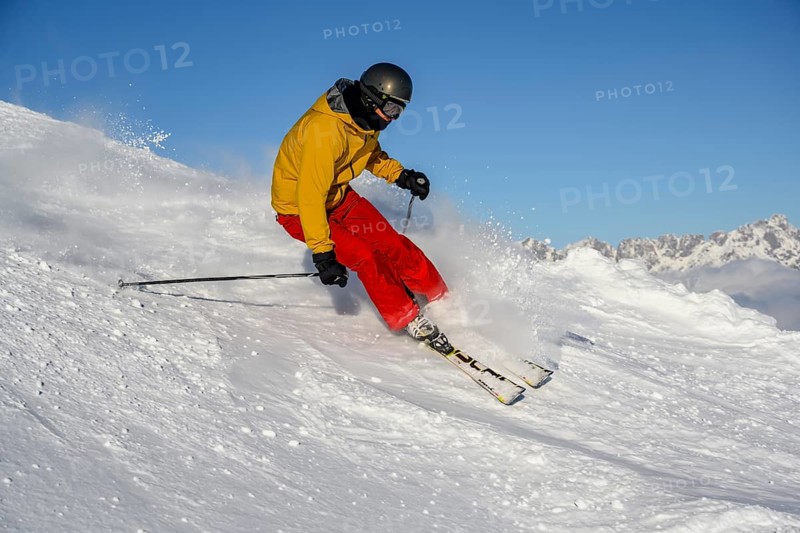 Skier