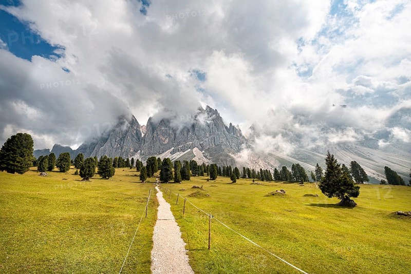 Hiking trail at the Gschnagenhardt Alm