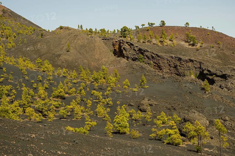 View along the hiking trail to the volcano Martin