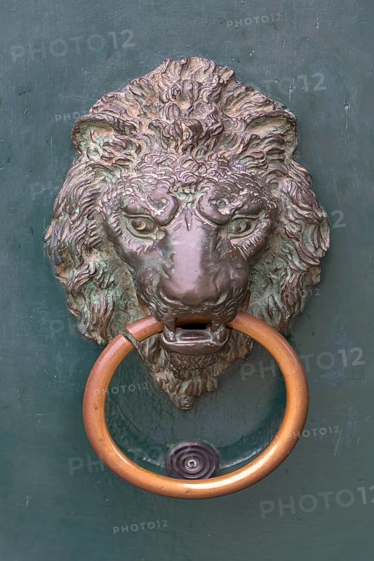 Lion head as door knocker