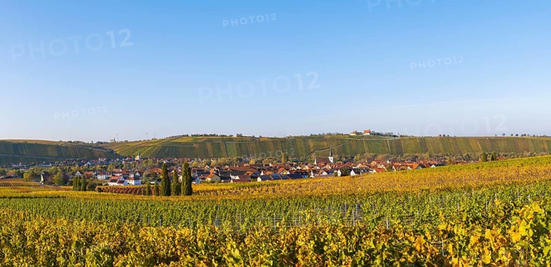 Nordheim am Main and behind Escherndorf