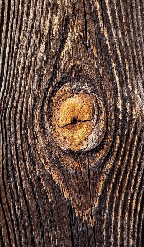 Weathered wood with knothole
