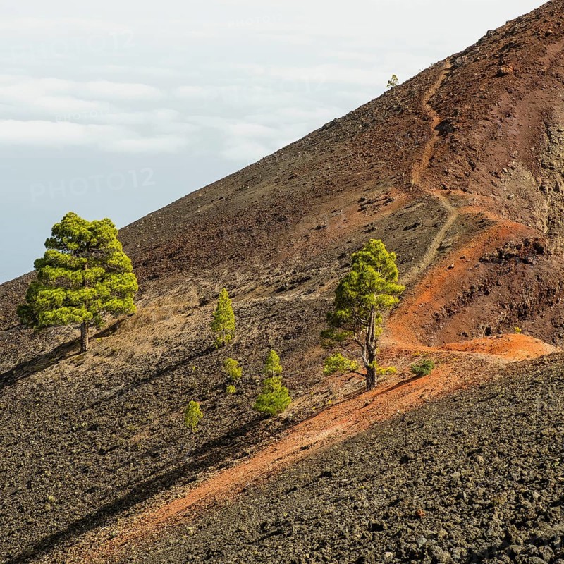 Hiking trail at the volcano Martin