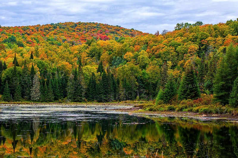 Autumn forest reflected in lake near La Minerve Laurentians Quebec Canada