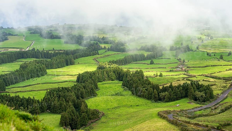 Strips of woodland cross green landscape