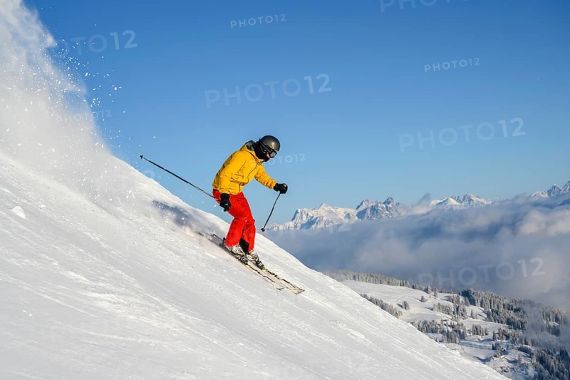 Skier