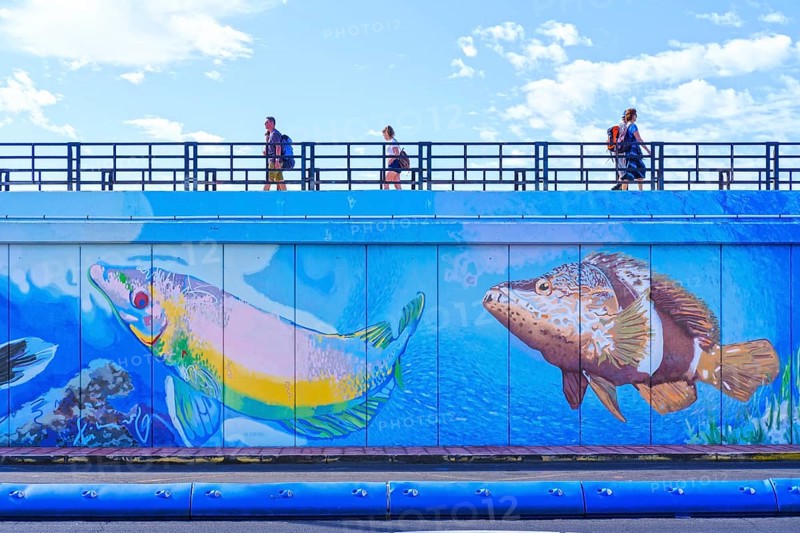 Harbour wall with larger-than-life paintings of sea animals