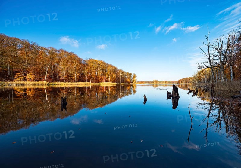 Schweingartensee in autumn