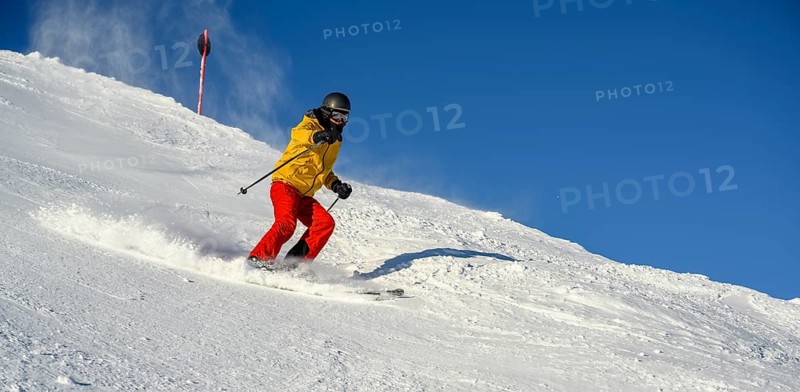 Skier