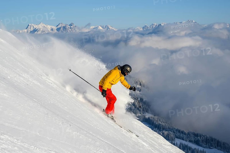 Skier