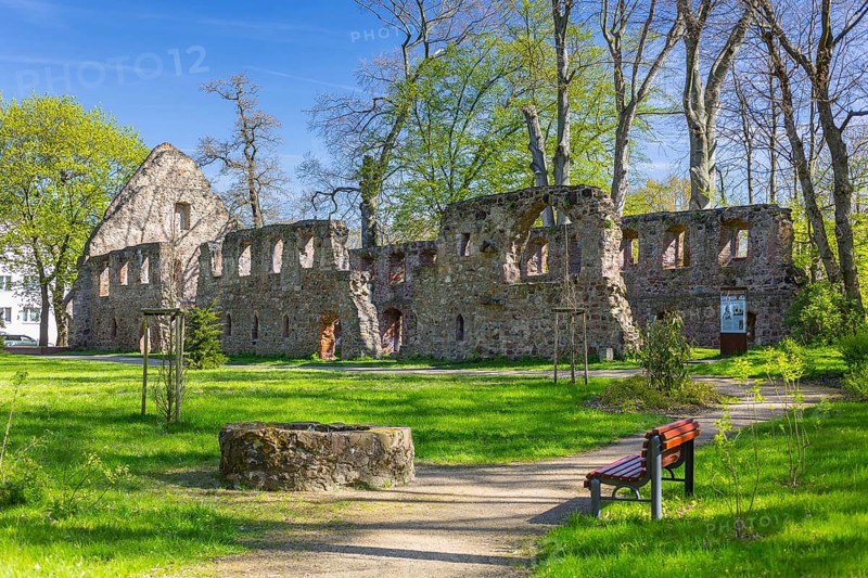 Ruin of the monastery Nimbschen
