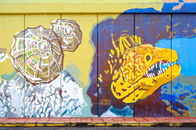 Harbour wall with larger-than-life paintings of sea animals