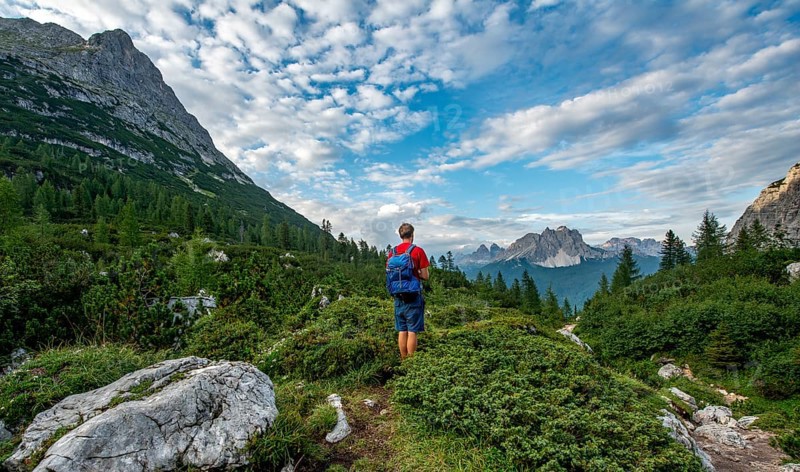 Hikers on a hiking trail