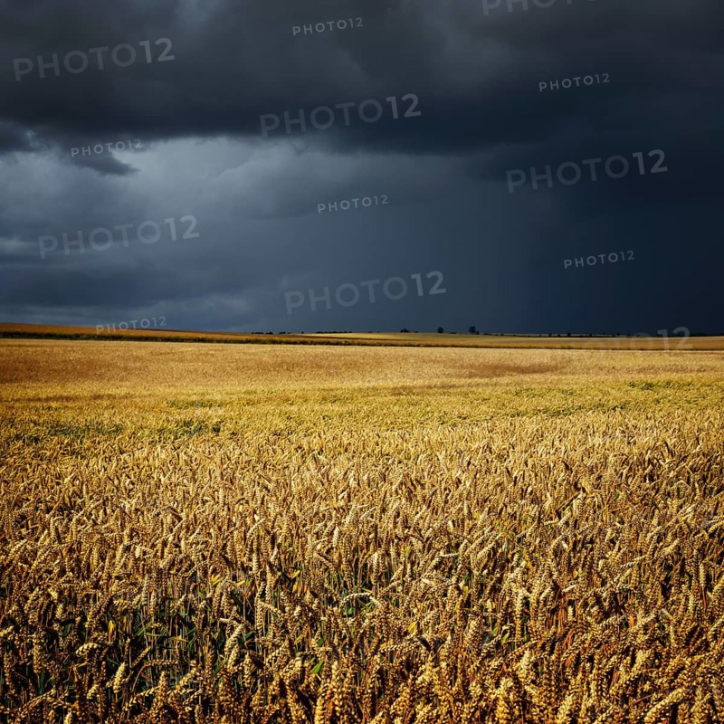Approaching thunderstorm