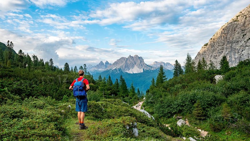 Hikers on a hiking trail