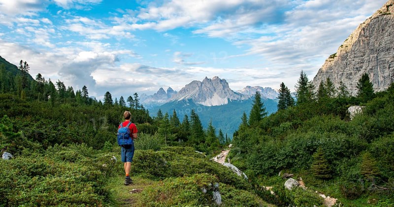 Hikers on a hiking trail