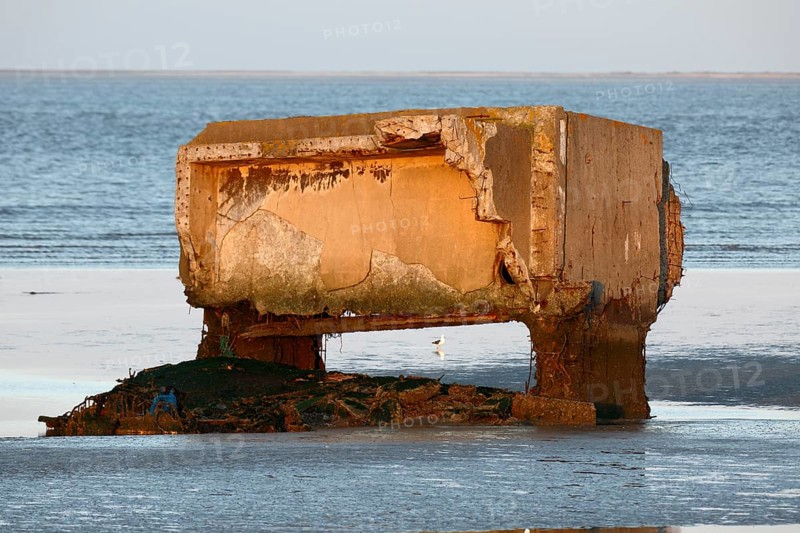 Bunker remains of an anti-aircraft gun position from World War II on the Minsener Oog power station in the evening light