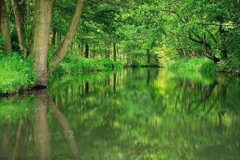 Canoeing through the Spreewald