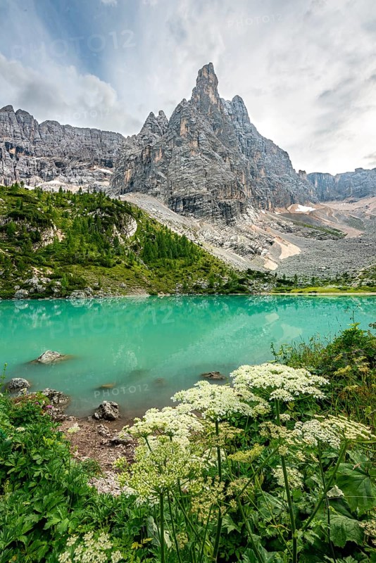 Turquoise-green Sorapis lake with flowers