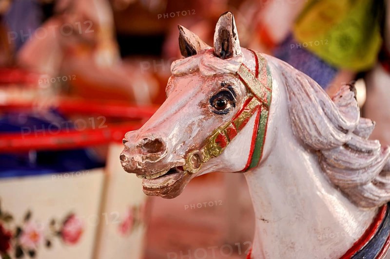 Wooden horse